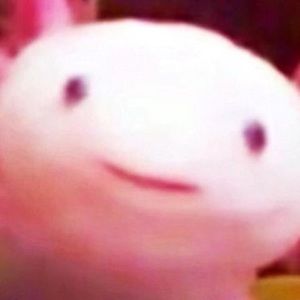 Meet your Posher, Doug